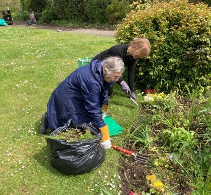 Friends of Lowndes Park working party